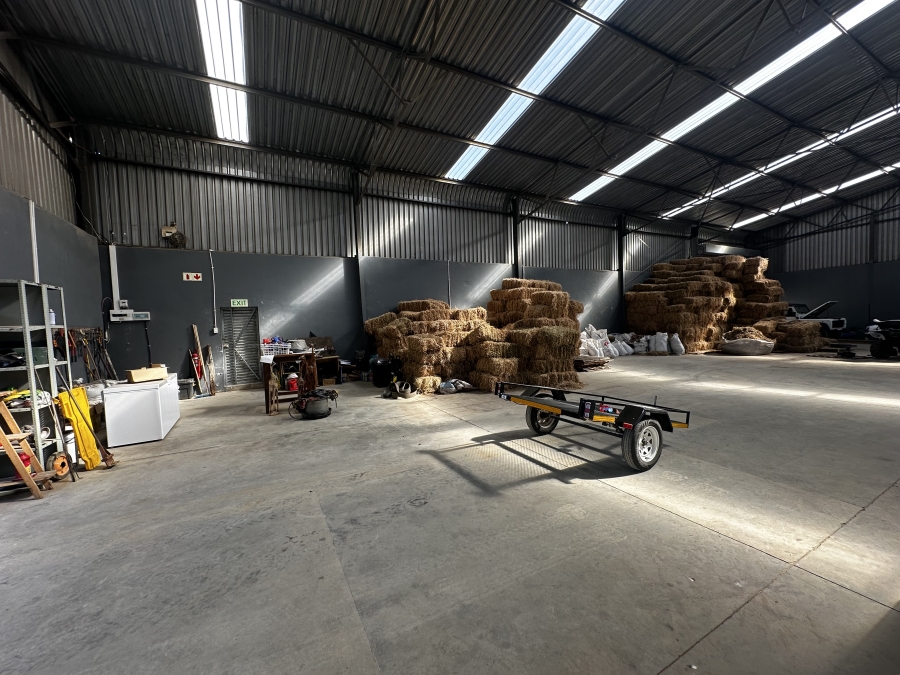 To Let Commercial Property for Rent in Wilsonia Eastern Cape